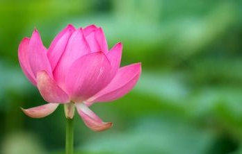 永嘉大师诗词证道歌