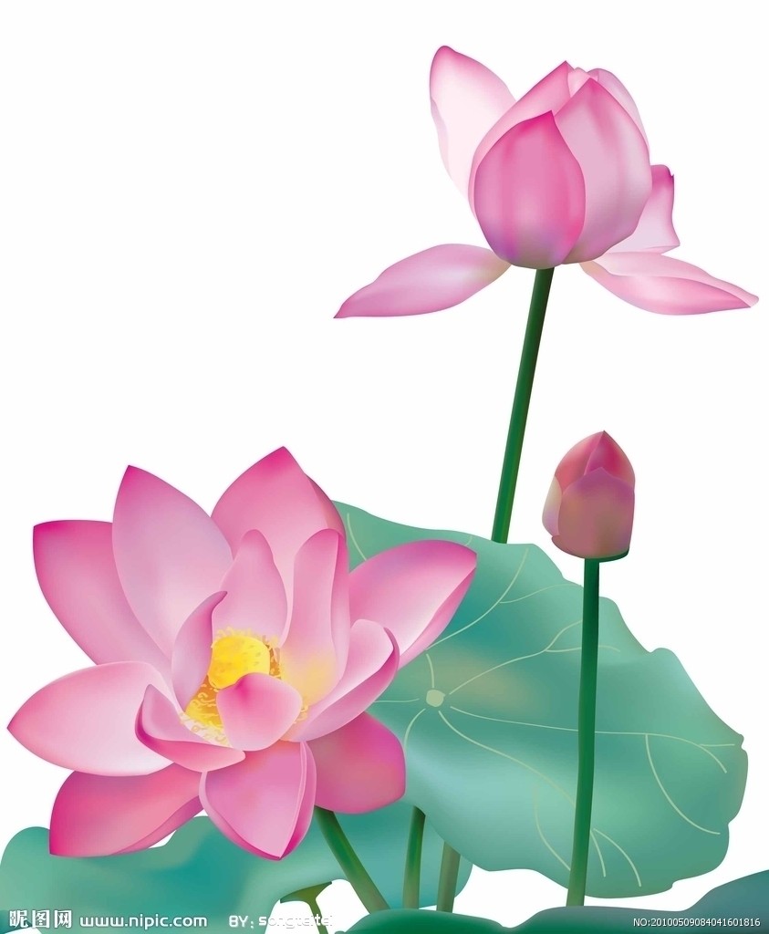 宣化上人:诚诵大悲咒治众难