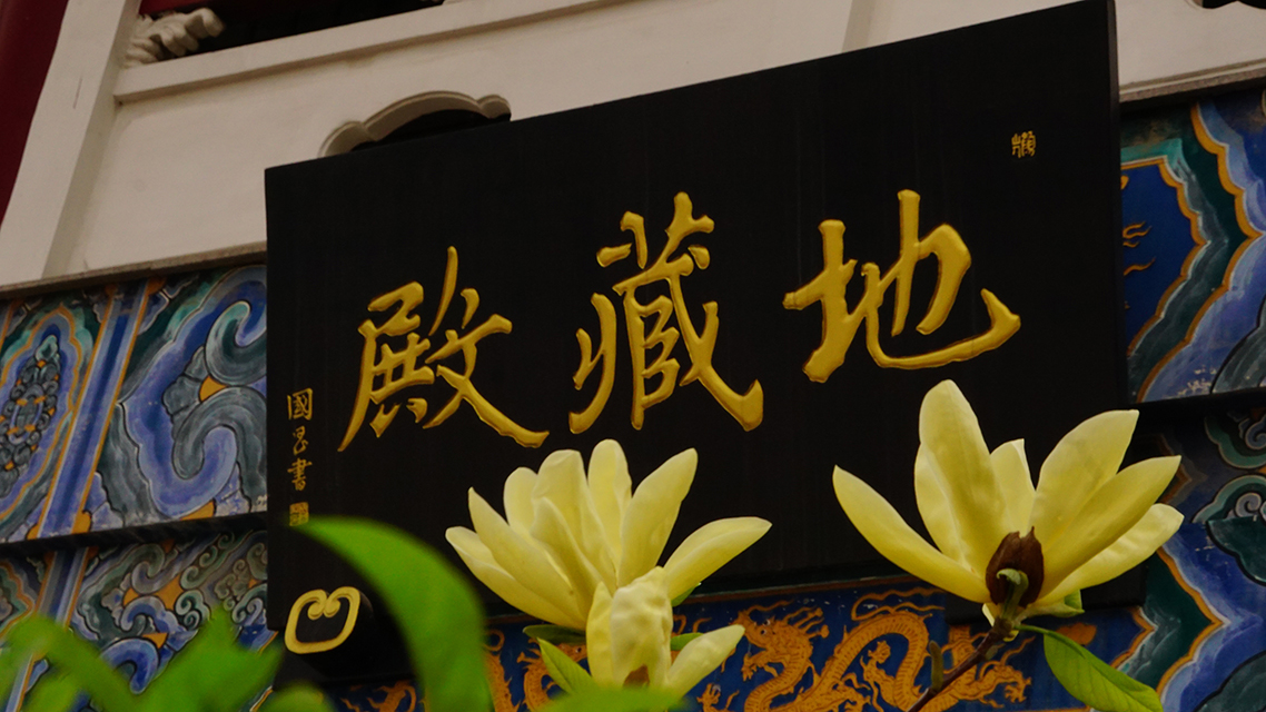 【图说正觉】花开见佛
