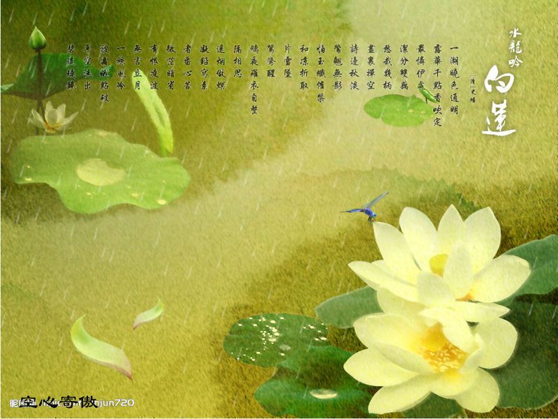 [转帖]妙境长老开示如何得观世音菩萨感应 