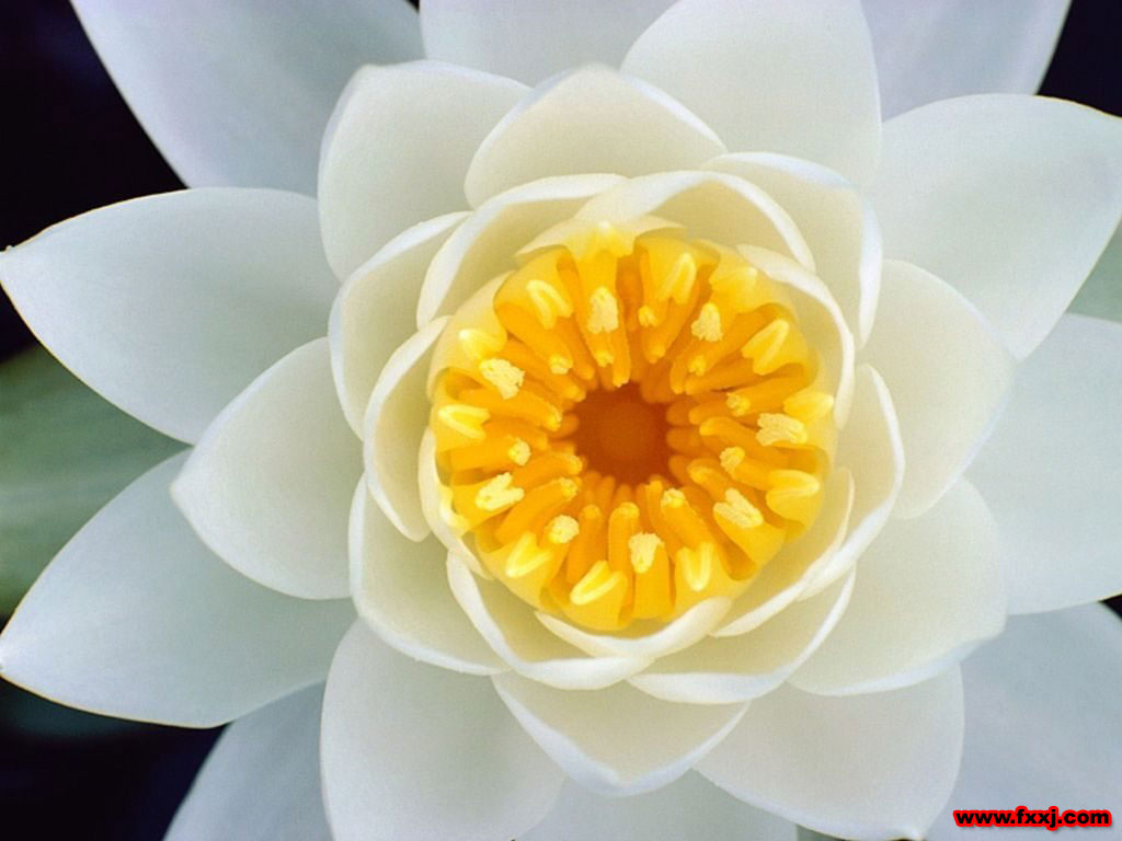 阿字数息观