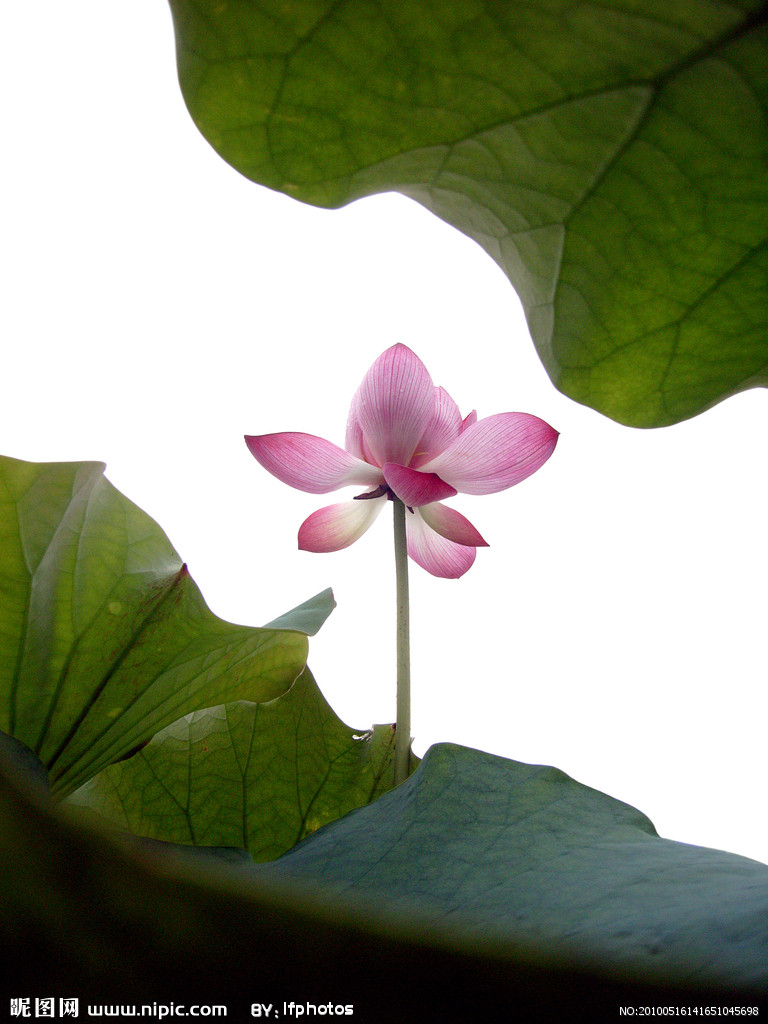 四大菩萨略传之观世音菩萨（文珠法师讲述）